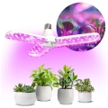 LED Λάμπα για την ανάπτυξη φυτών PLANTY E27/24W/230V 1200K