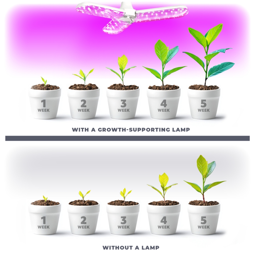 LED Λάμπα για την ανάπτυξη φυτών PLANTY E27/24W/230V 1200K