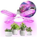LED Λάμπα για την ανάπτυξη φυτών PLANTY E27/40W/230V 1200K