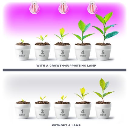 LED Λάμπα για την ανάπτυξη φυτών PLANTY E27/8W/230V 1200K