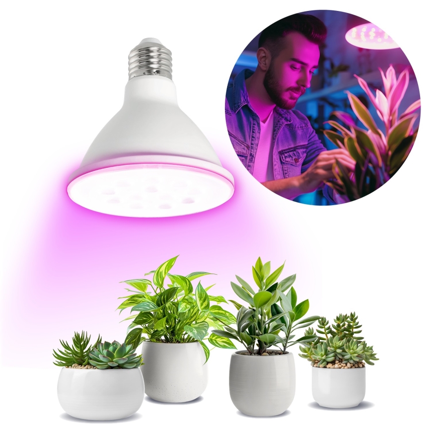 LED Λάμπα για την ανάπτυξη φυτών PLANTY E27/9W/230V 1200K λευκό