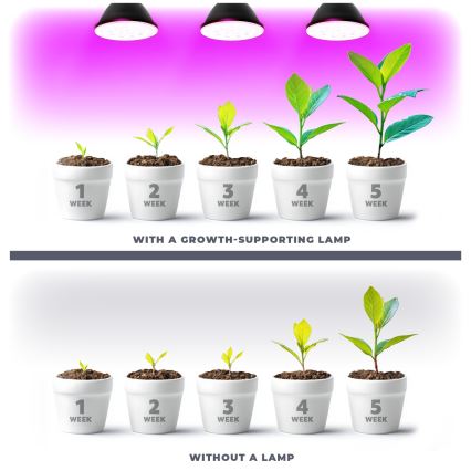 LED Λάμπα για την ανάπτυξη φυτών PLANTY E27/9W/230V 1200K μαύρο