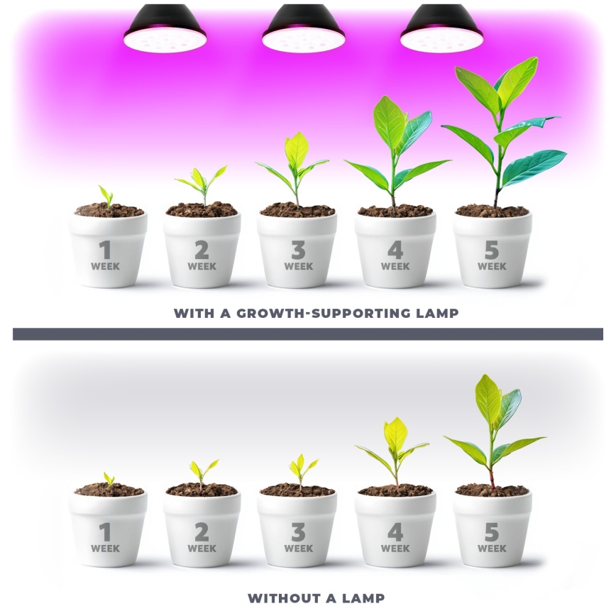 LED Λάμπα για την ανάπτυξη φυτών PLANTY E27/9W/230V 1200K μαύρο