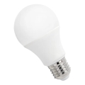 LED λαμπτήρας GLS A60 E27/4,9W/230V 6000K