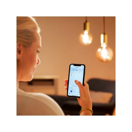 LED Dimmable λάμπα VINTAGE FILAMENT G95 E27/6,7W/230V 2000-5000K CRI 90 Wi-Fi - WiZ