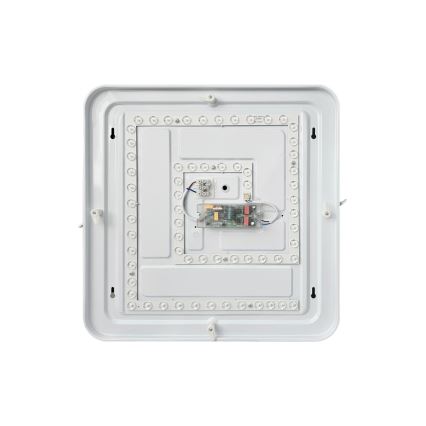 LED Dimmable φωτιστικό οροφής FLORA LED/36W/230V 2700-6500K 43x43 cm + τηλεχειριστήριο