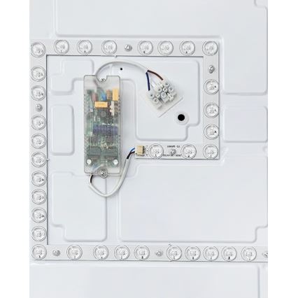 LED Dimmable φωτιστικό οροφής FLORA LED/60W/230V 2700-6500K 53x53 cm + τηλεχειριστήριο