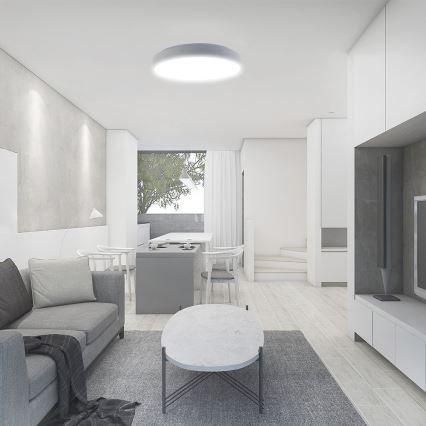 LED Dimmable φωτιστικό οροφής LED/60W/230V 3000-6500K 49,5 cm λευκό + τηλεχειριστήριο