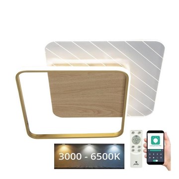 LED Dimmable φωτιστικό οροφής LED/60W/230V 3000-6500K + τηλεχειριστήριο