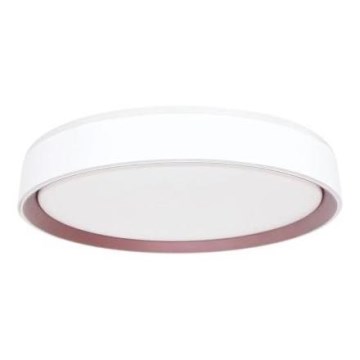 LED Dimmable φωτιστικό οροφής με φωνητικό έλεγχο OPAL LED/48W/230V 2700-6500K λευκό + τηλεχειριστήριο