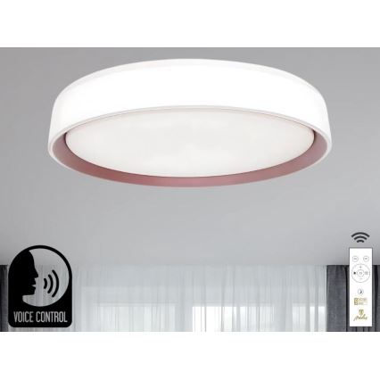 LED Dimmable φωτιστικό οροφής με φωνητικό έλεγχο OPAL LED/48W/230V 2700-6500K λευκό + τηλεχειριστήριο