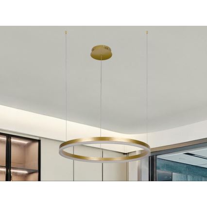 Led Dimmable κρεμαστό φωτιστικό οροφής LED/42W/230V 3000-6500K διάμετρος 60 cm + τηλεχειριστήριο