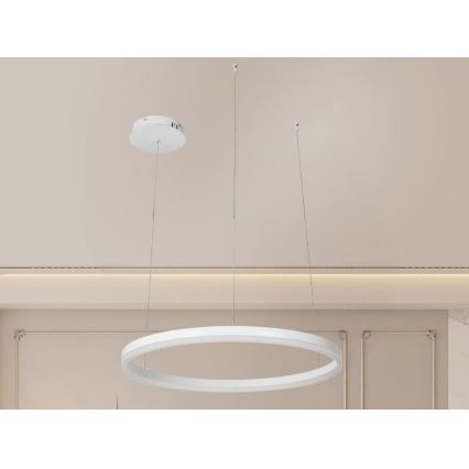 Led Dimmable κρεμαστό φωτιστικό οροφής LED/42W/230V 3000-6500K διάμετρος 60 cm + τηλεχειριστήριο