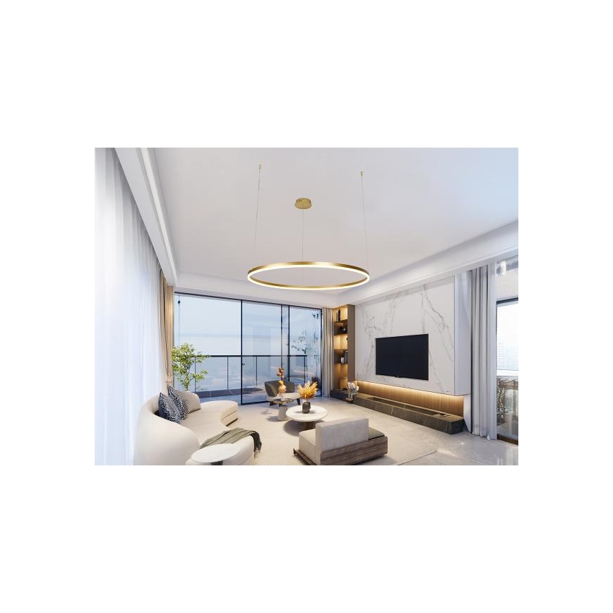 Led Dimmable κρεμαστό φωτιστικό οροφής LED/55W/230V 3000-6500K διάμετρος 80 cm + τηλεχειριστήριο