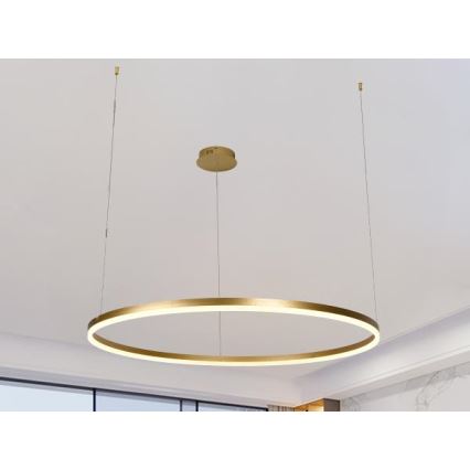 Led Dimmable κρεμαστό φωτιστικό οροφής LED/55W/230V 3000-6500K διάμετρος 80 cm + τηλεχειριστήριο