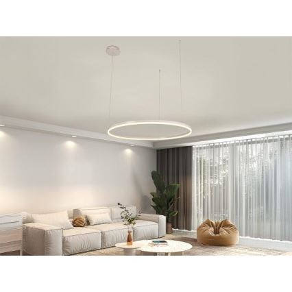Led Dimmable κρεμαστό φωτιστικό οροφής LED/55W/230V 3000-6500K διάμετρος 80 cm + τηλεχειριστήριο