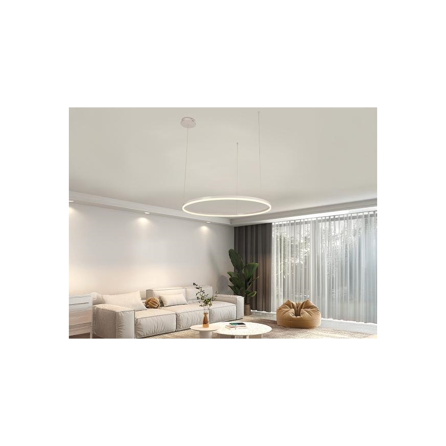 Led Dimmable κρεμαστό φωτιστικό οροφής LED/55W/230V 3000-6500K διάμετρος 80 cm + τηλεχειριστήριο