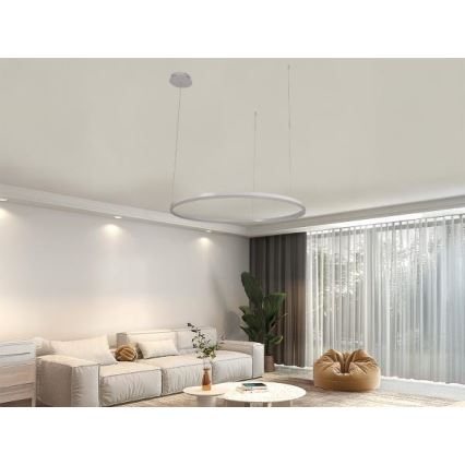 Led Dimmable κρεμαστό φωτιστικό οροφής LED/55W/230V 3000-6500K διάμετρος 80 cm + τηλεχειριστήριο