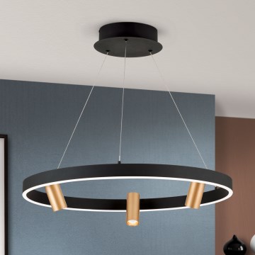 Led Dimmable κρεμαστό φωτιστικό οροφής BERLIN LED/50W/230V μαύρο/χρυσό