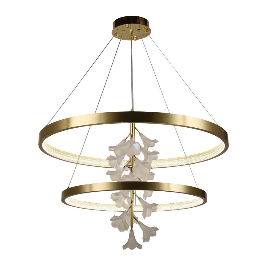 Led Dimmable κρεμαστό φωτιστικό οροφής LED/100W/230V 3000-6500K + τηλεχειριστήριο