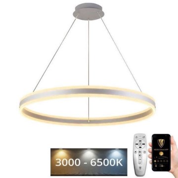 LED Dimmable κρεμαστό φωτιστικό οροφής LED/110W/230V 3000-6500K + τηλεχειριστήριο