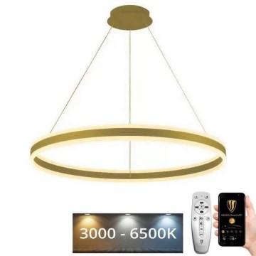 Led Dimmable κρεμαστό φωτιστικό οροφής LED/110W/230V 3000-6500K + τηλεχειριστήριο