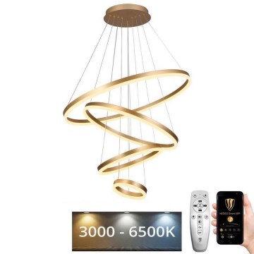 Led Dimmable κρεμαστό φωτιστικό οροφής LED/165W/230V 3000-6500K διάμετρος 80 cm + τηλεχειριστήριο