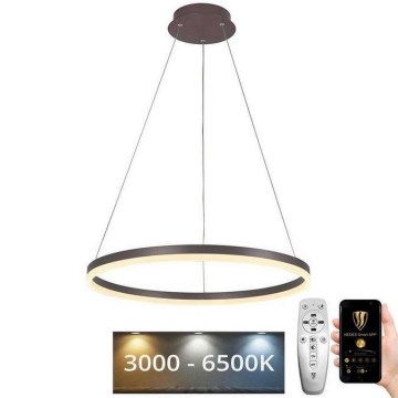 Led Dimmable κρεμαστό φωτιστικό οροφής LED/42W/230V 3000-6500K διάμετρος 60 cm + τηλεχειριστήριο