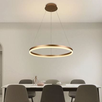 Led Dimmable κρεμαστό φωτιστικό οροφής LED/42W/230V 3000-6500K διάμετρος 60 cm + τηλεχειριστήριο