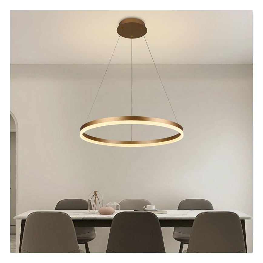 Led Dimmable κρεμαστό φωτιστικό οροφής LED/42W/230V 3000-6500K διάμετρος 60 cm + τηλεχειριστήριο