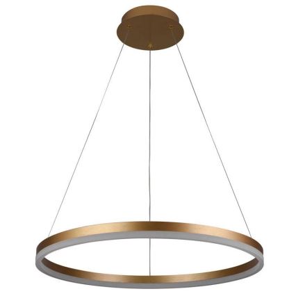 Led Dimmable κρεμαστό φωτιστικό οροφής LED/42W/230V 3000-6500K διάμετρος 60 cm + τηλεχειριστήριο