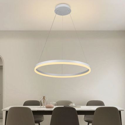 Led Dimmable κρεμαστό φωτιστικό οροφής LED/42W/230V 3000-6500K διάμετρος 60 cm + τηλεχειριστήριο