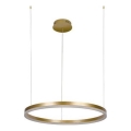 Led Dimmable κρεμαστό φωτιστικό οροφής LED/42W/230V 3000-6500K + τηλεχειριστήριο