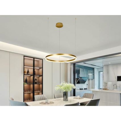 Led Dimmable κρεμαστό φωτιστικό οροφής LED/42W/230V 3000-6500K + τηλεχειριστήριο