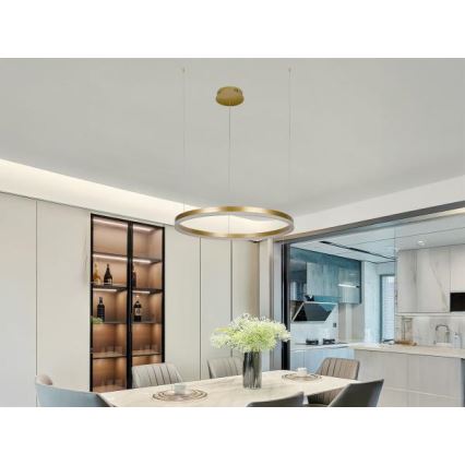 Led Dimmable κρεμαστό φωτιστικό οροφής LED/42W/230V 3000-6500K + τηλεχειριστήριο