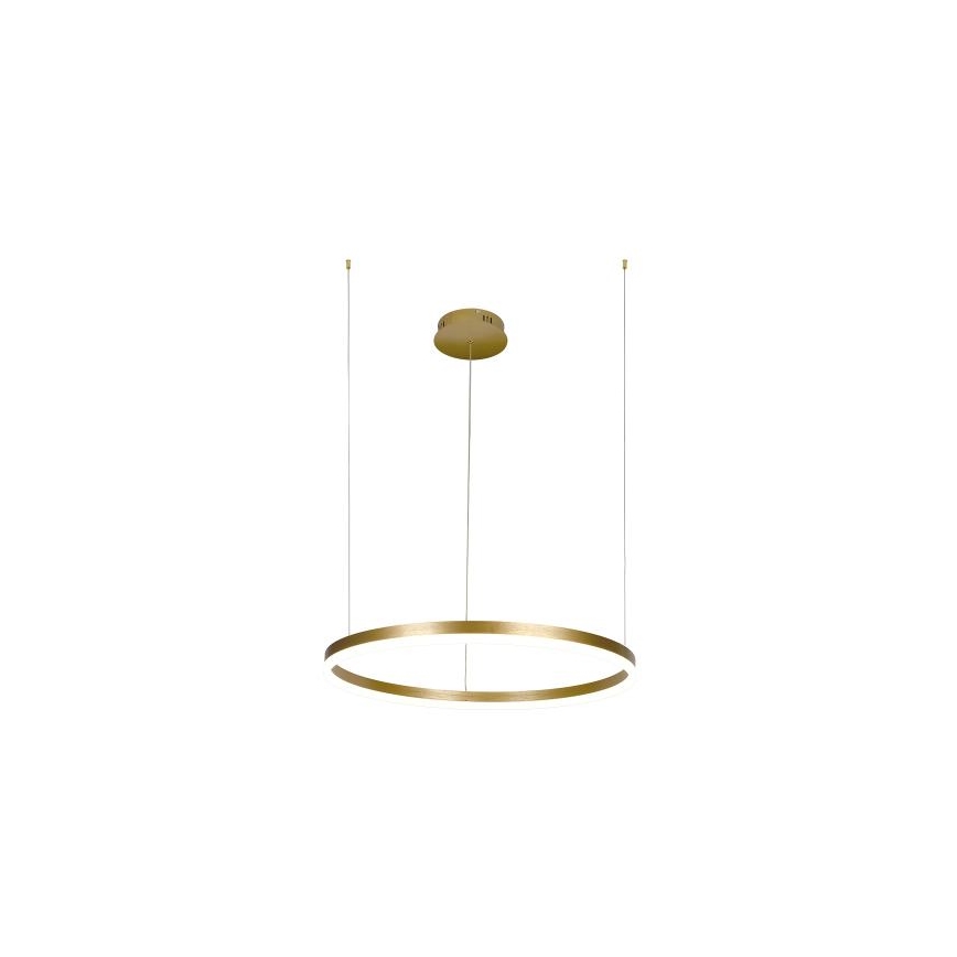 Led Dimmable κρεμαστό φωτιστικό οροφής LED/42W/230V 3000-6500K + τηλεχειριστήριο