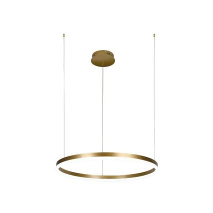 Led Dimmable κρεμαστό φωτιστικό οροφής LED/42W/230V 3000-6500K + τηλεχειριστήριο