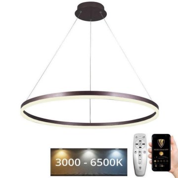Led Dimmable κρεμαστό φωτιστικό οροφής LED/55W/230V 3000-6500K διάμετρος 80 cm + τηλεχειριστήριο