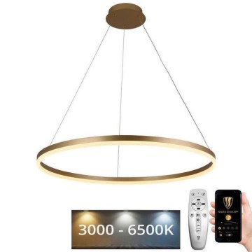 Led Dimmable κρεμαστό φωτιστικό οροφής LED/55W/230V 3000-6500K διάμετρος 80 cm + τηλεχειριστήριο