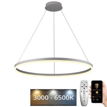 Led Dimmable κρεμαστό φωτιστικό οροφής LED/55W/230V 3000-6500K διάμετρος 80 cm + τηλεχειριστήριο