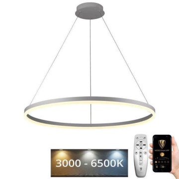 Led Dimmable κρεμαστό φωτιστικό οροφής LED/55W/230V 3000-6500K διάμετρος 80 cm + τηλεχειριστήριο