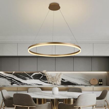 Led Dimmable κρεμαστό φωτιστικό οροφής LED/55W/230V 3000-6500K διάμετρος 80 cm + τηλεχειριστήριο