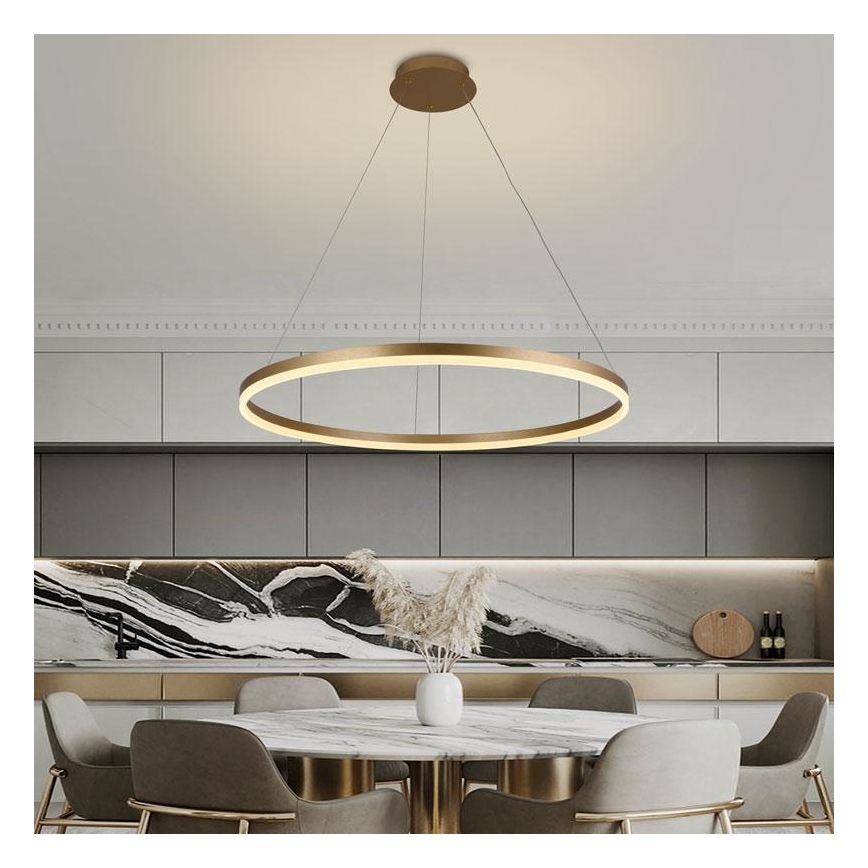Led Dimmable κρεμαστό φωτιστικό οροφής LED/55W/230V 3000-6500K διάμετρος 80 cm + τηλεχειριστήριο