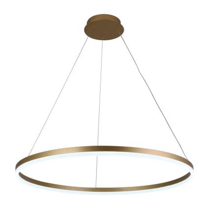 Led Dimmable κρεμαστό φωτιστικό οροφής LED/55W/230V 3000-6500K διάμετρος 80 cm + τηλεχειριστήριο