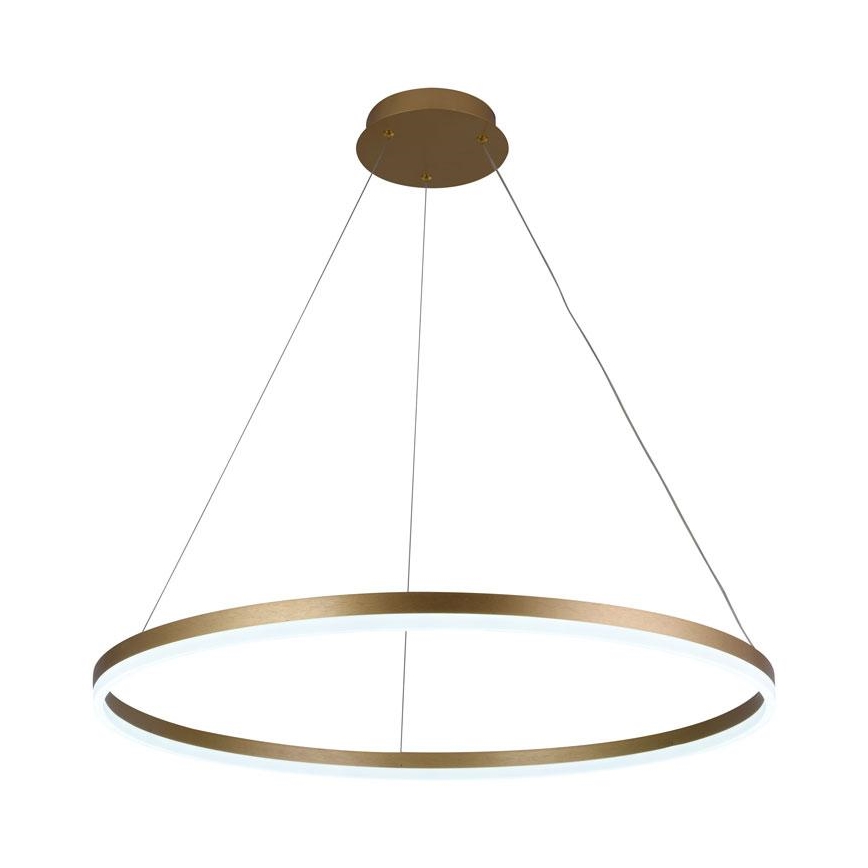 Led Dimmable κρεμαστό φωτιστικό οροφής LED/55W/230V 3000-6500K διάμετρος 80 cm + τηλεχειριστήριο