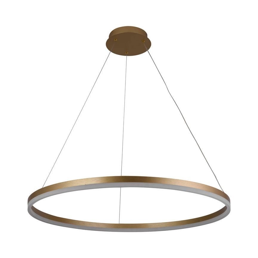 Led Dimmable κρεμαστό φωτιστικό οροφής LED/55W/230V 3000-6500K διάμετρος 80 cm + τηλεχειριστήριο