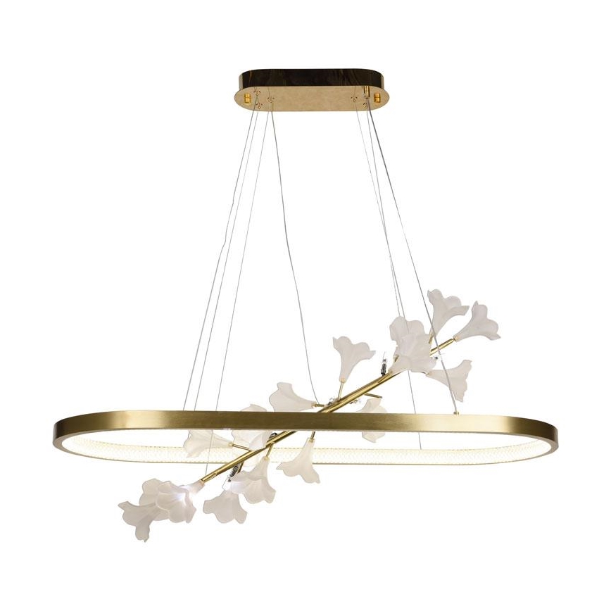 Led Dimmable κρεμαστό φωτιστικό οροφής LED/55W/230V 3000-6500K + τηλεχειριστήριο