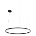 Led Dimmable κρεμαστό φωτιστικό οροφής LED/55W/230V 3000-6500K + τηλεχειριστήριο
