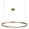 Led Dimmable κρεμαστό φωτιστικό οροφής LED/55W/230V 3000-6500K + τηλεχειριστήριο
