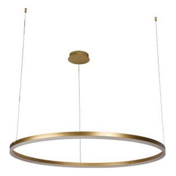 Led Dimmable κρεμαστό φωτιστικό οροφής LED/55W/230V 3000-6500K + τηλεχειριστήριο